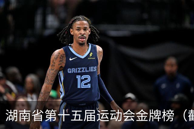 湖南省第十五届运动会金牌榜（截至8月13日20时）